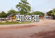 মাগুরা জেলার নামকরণ ও উপজেলা সমূহ magura district upazila list