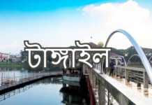 টাঙ্গাইল জেলার নামকরণ ও উপজেলা সমূহ tangail upazila list